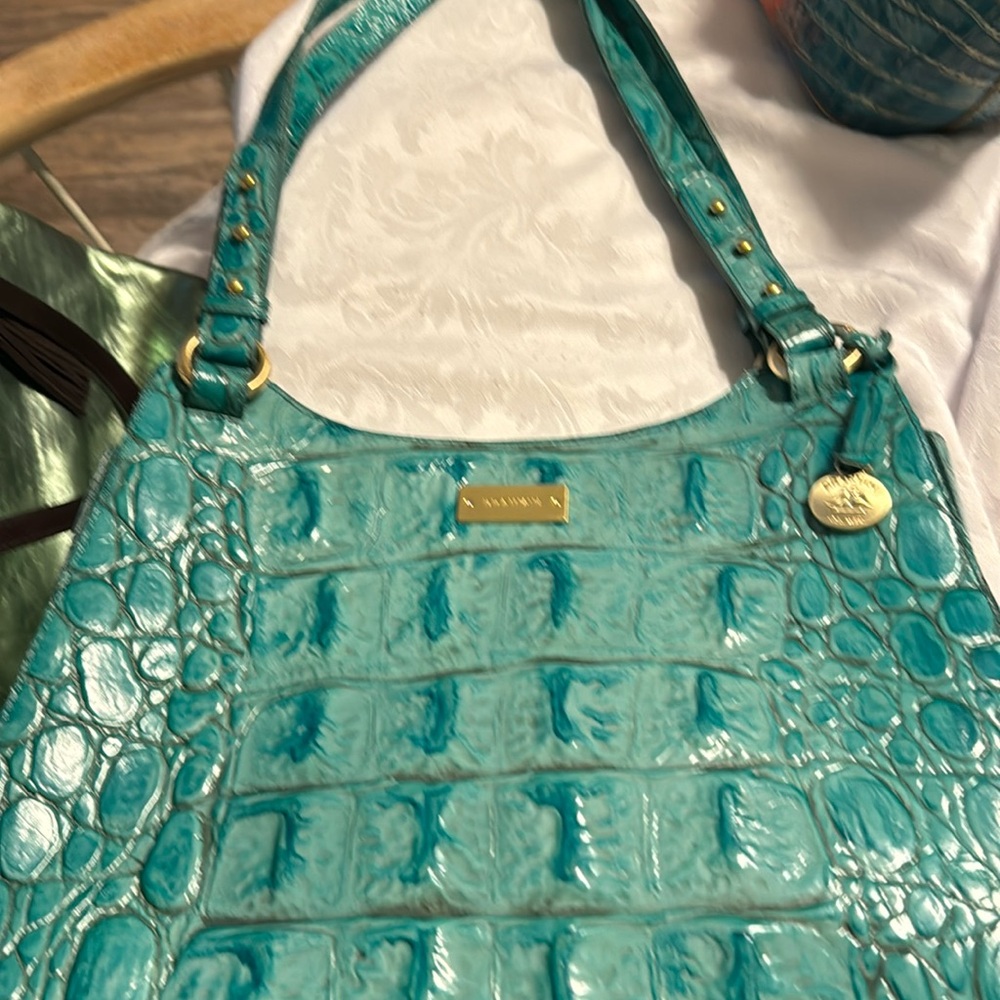 Brahmin big purse